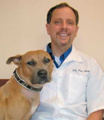 Pet Spay and Neuter in Greenwood, IN