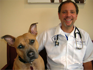 Vista Hill Veterinary Hospital