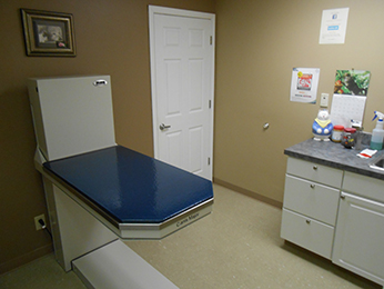 Pet Wellness Exams Greenwood